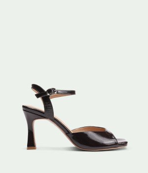 Takt Brown Rugan