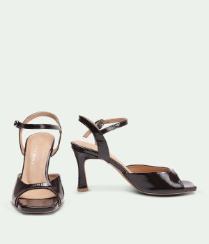 Takt Brown Rugan
