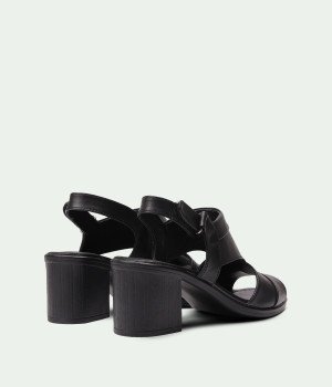 Zanira Black