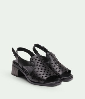 Ravelle Black