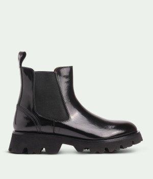 Raviquea Bellastra Black