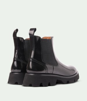 Raviquea Bellastra Black