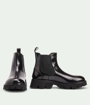 Raviquea Bellastra Black