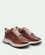 Longwing Tan