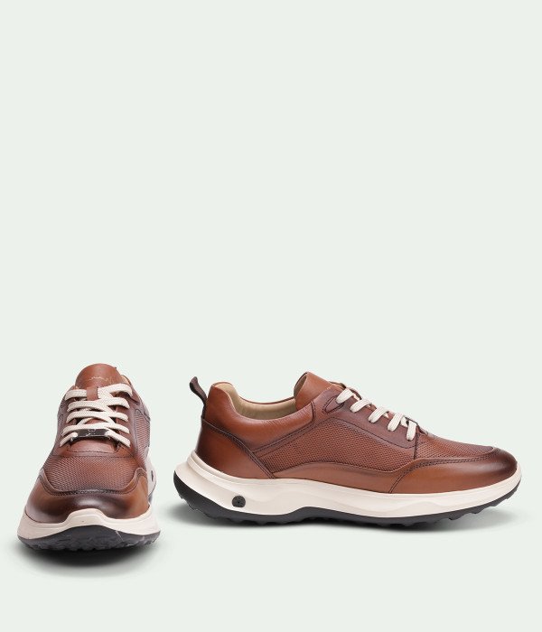 Longwing Tan