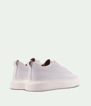 Dorseline White Leather