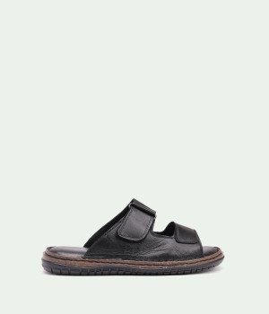 Legacy Black