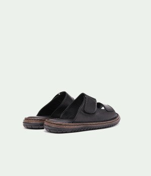 Legacy Black