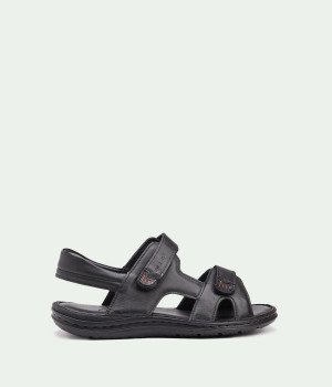 Eko Black