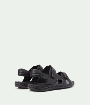 Eko Black