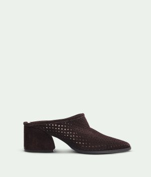 Solas Brown