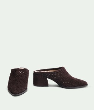 Solas Brown