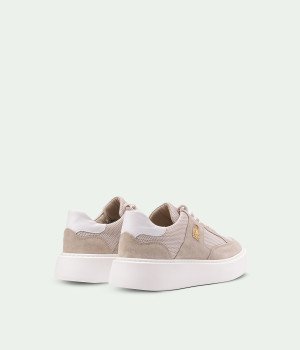 Alvante Regale Beige