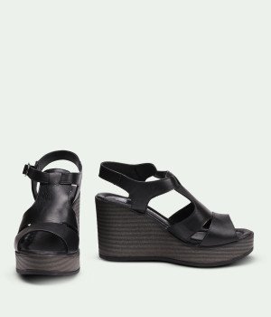 Alouisa Black