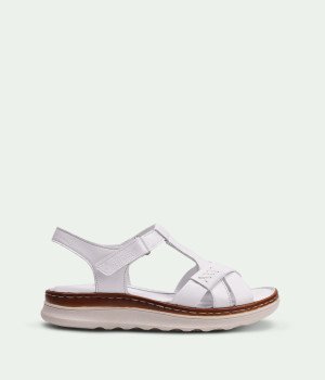 Bellasole White