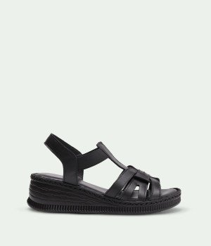 Arena Black