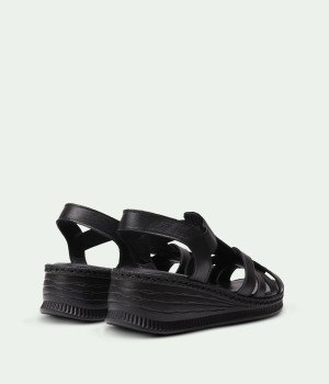 Arena Black