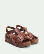Arena Brown