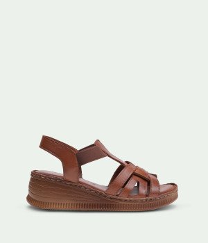 Arena Brown