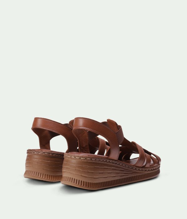 Arena Brown