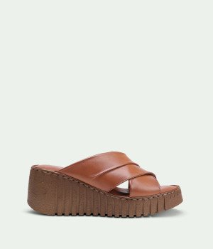 Roca Brown
