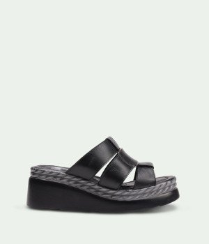 Palmira Black