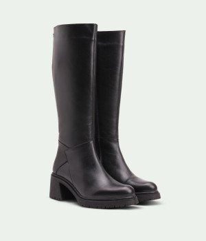 Black Lumière Alvanno