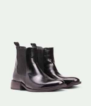 Xerelle Bellune Black