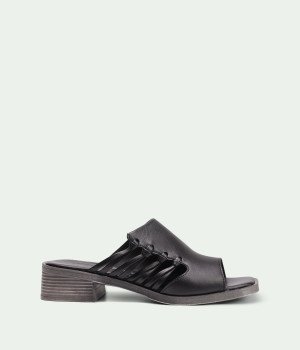 Brisa Black