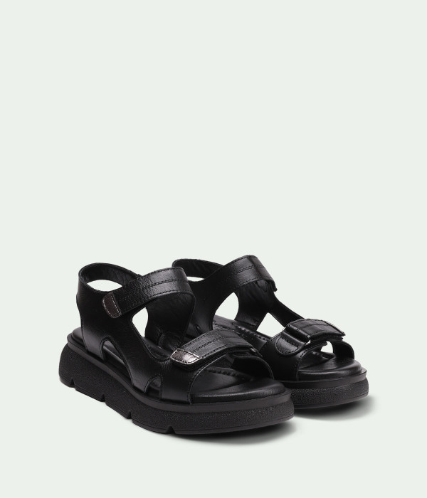 Aven Black