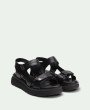 Aven Black