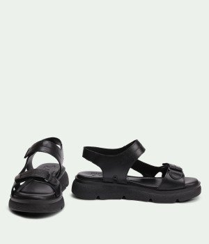 Aven Black