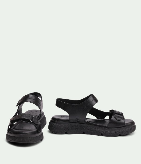 Aven Black