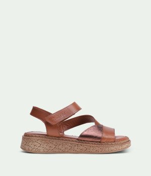 Velis Brown