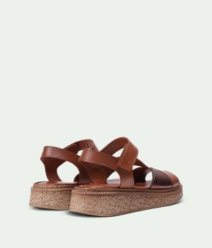 Velis Brown