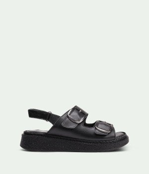 Estoria Black