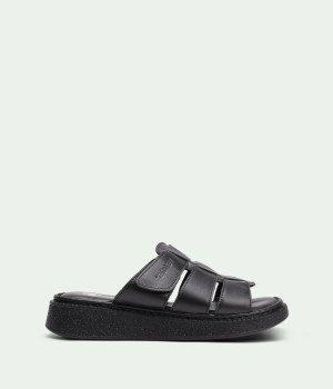 Calidora Black