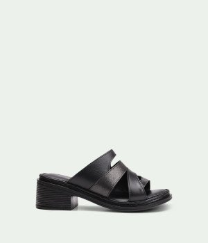Ventora Black