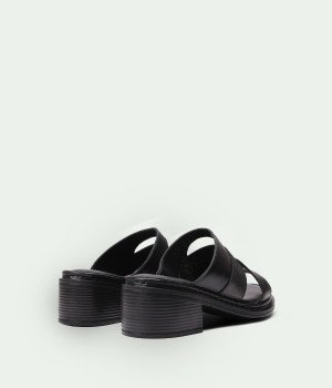 Ventora Black