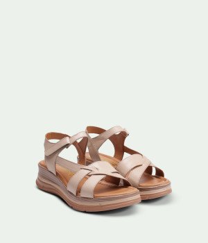 Camellia Beige