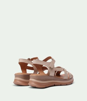 Camellia Beige