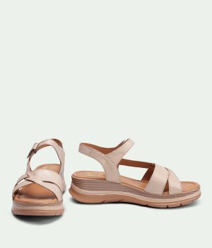 Camellia Beige