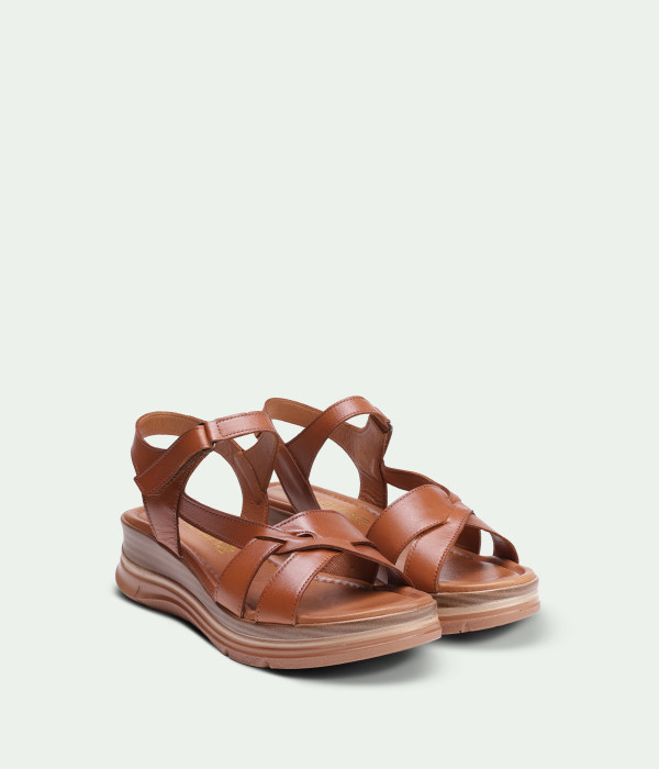 Camellia Brown