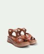 Camellia Brown
