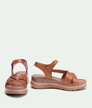 Camellia Brown