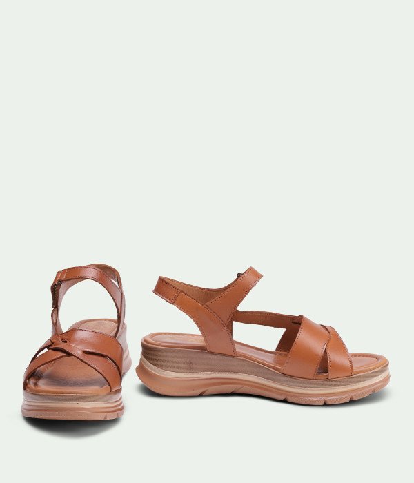 Camellia Brown