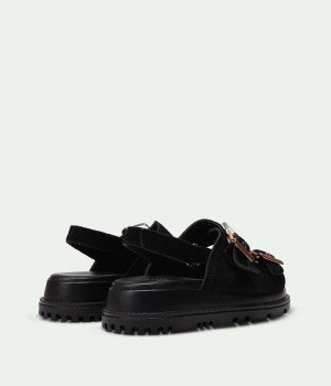 Zia Black