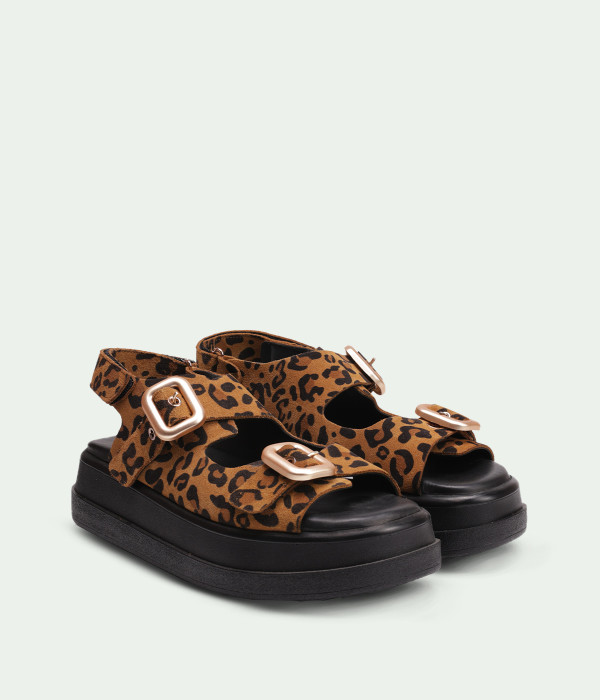 Sahara Leopard