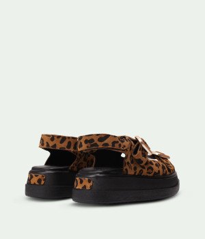 Sahara Leopard
