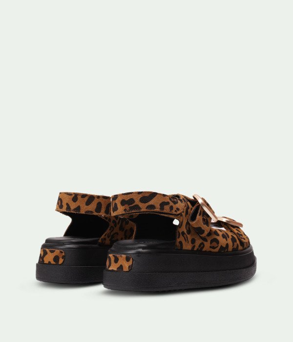 Sahara Leopard
